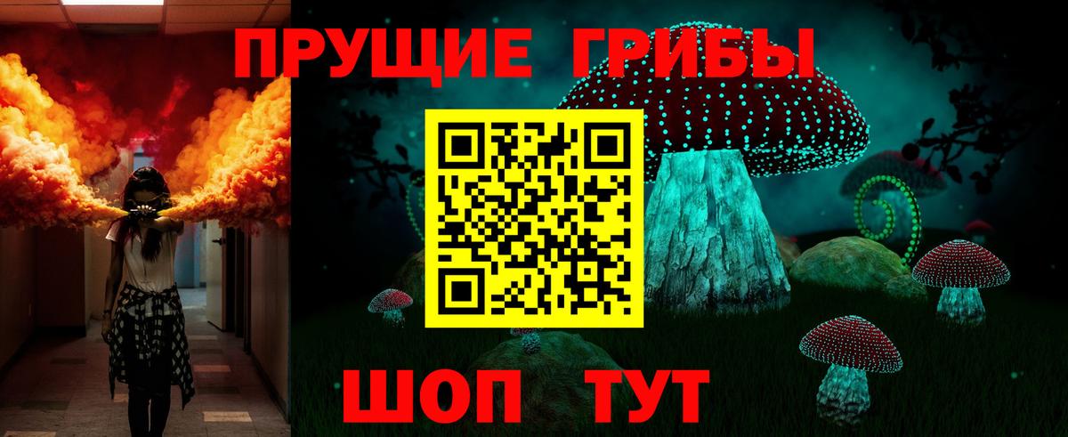 купить наркоту  Галлюциногенные грибы Psilocybine cubensis  Вход с VPN  Богородск 